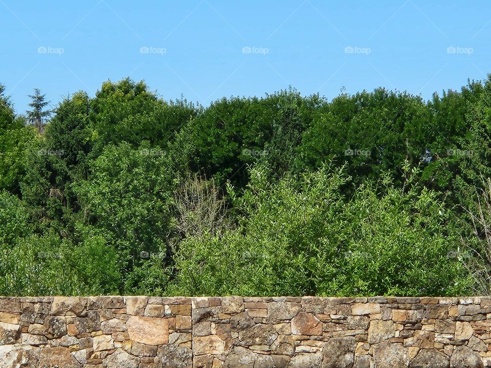 view from the road of a stone wall, green trees, and blue sky