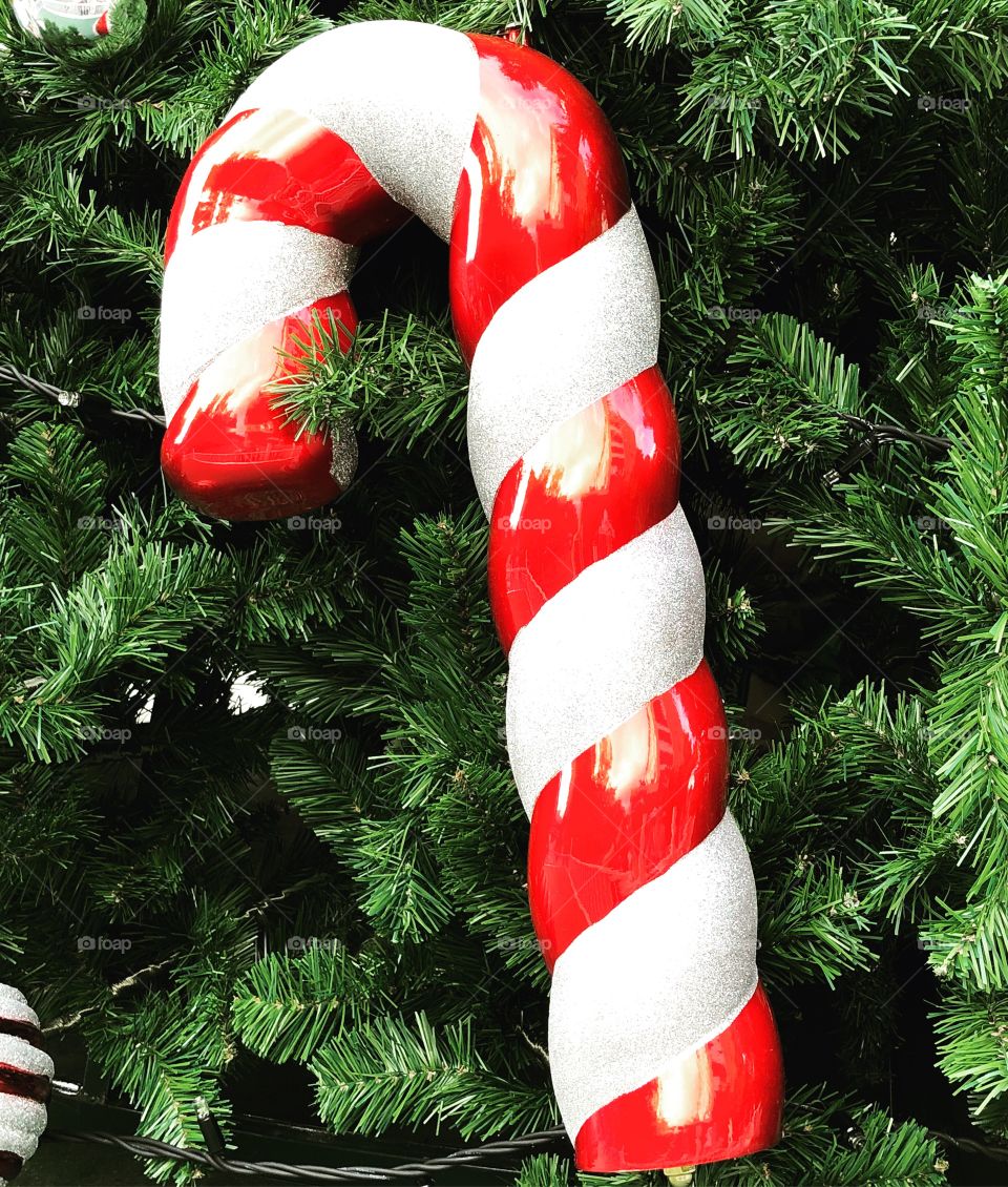 Giant Candy cane 