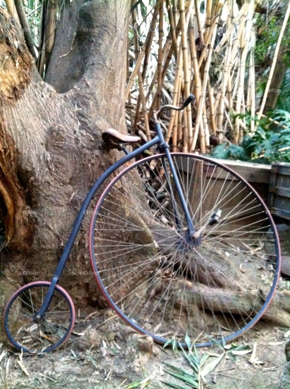Bicycle Treasure. Bikes of years gone by.