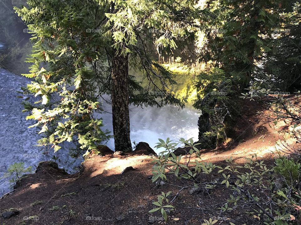A view of the rushing waters of the McKenzie River in the mountains of Western Oregon close after its drop over Sahalie Falls on a sunny fall day.