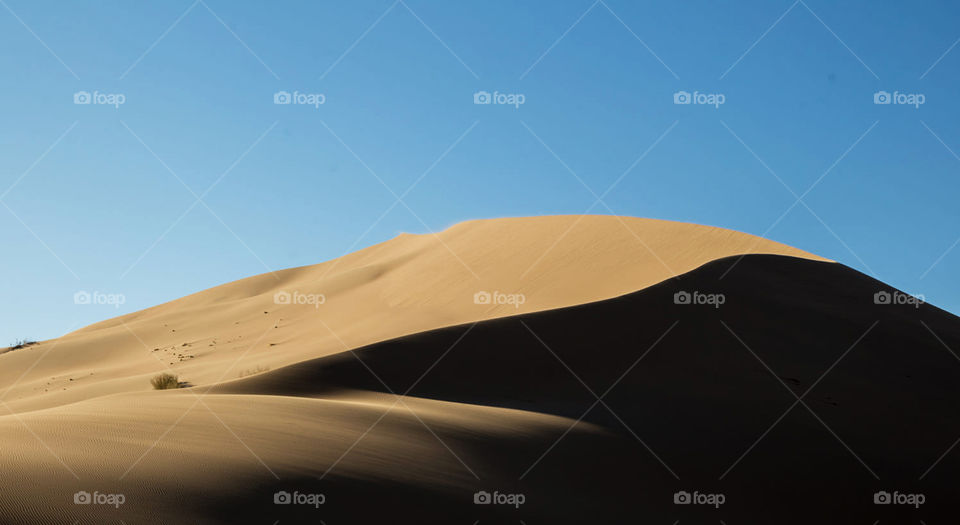 Travel around the world