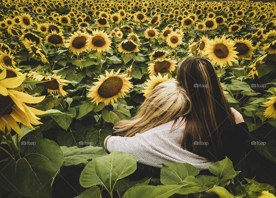 Two best friends, enjoying time together gazing upon a sunflower field.