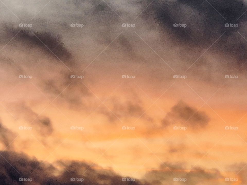 Window view - Kitchen