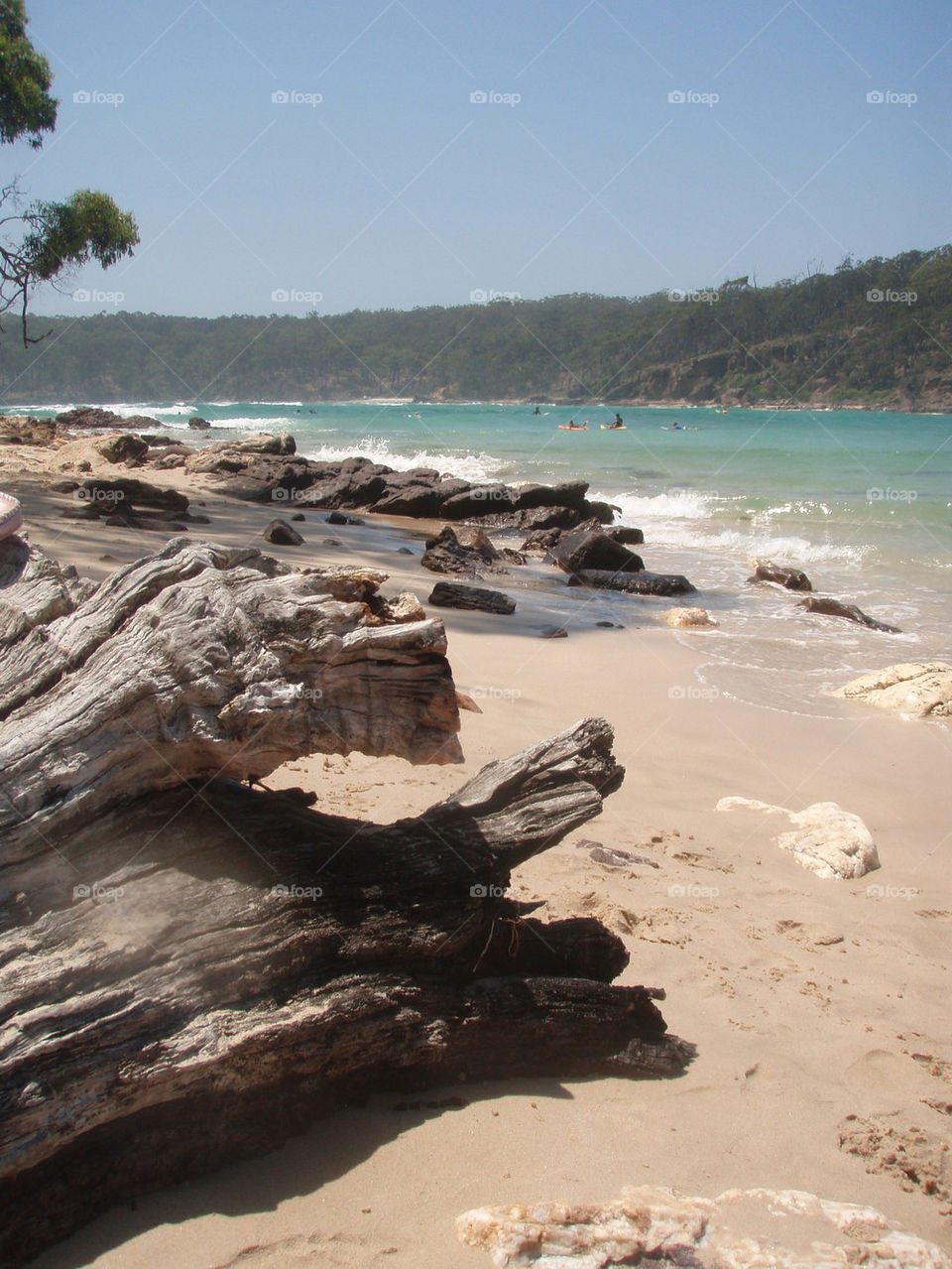 beach water sand log by splicanka