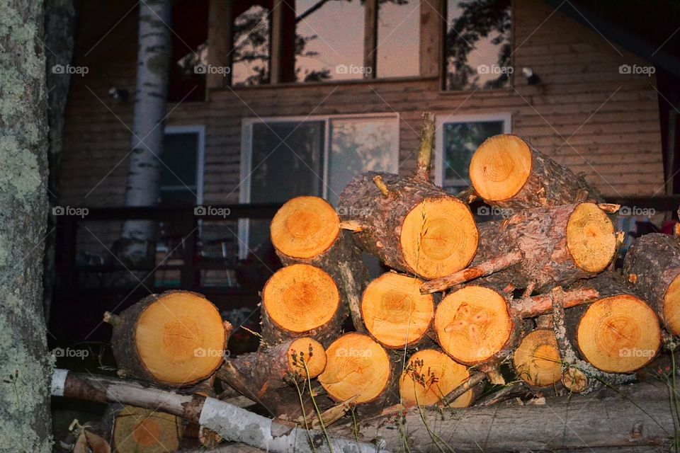 Wood pile at the cabin. Wood pile at the cabin cut and ready for winter or a campfire