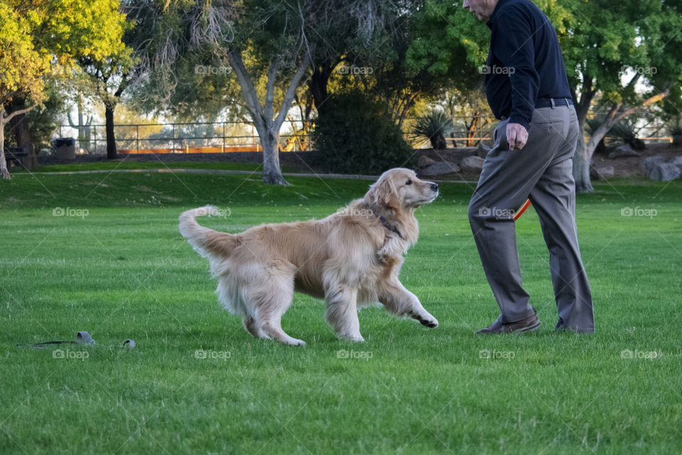 A man is playing  with his pet dog 