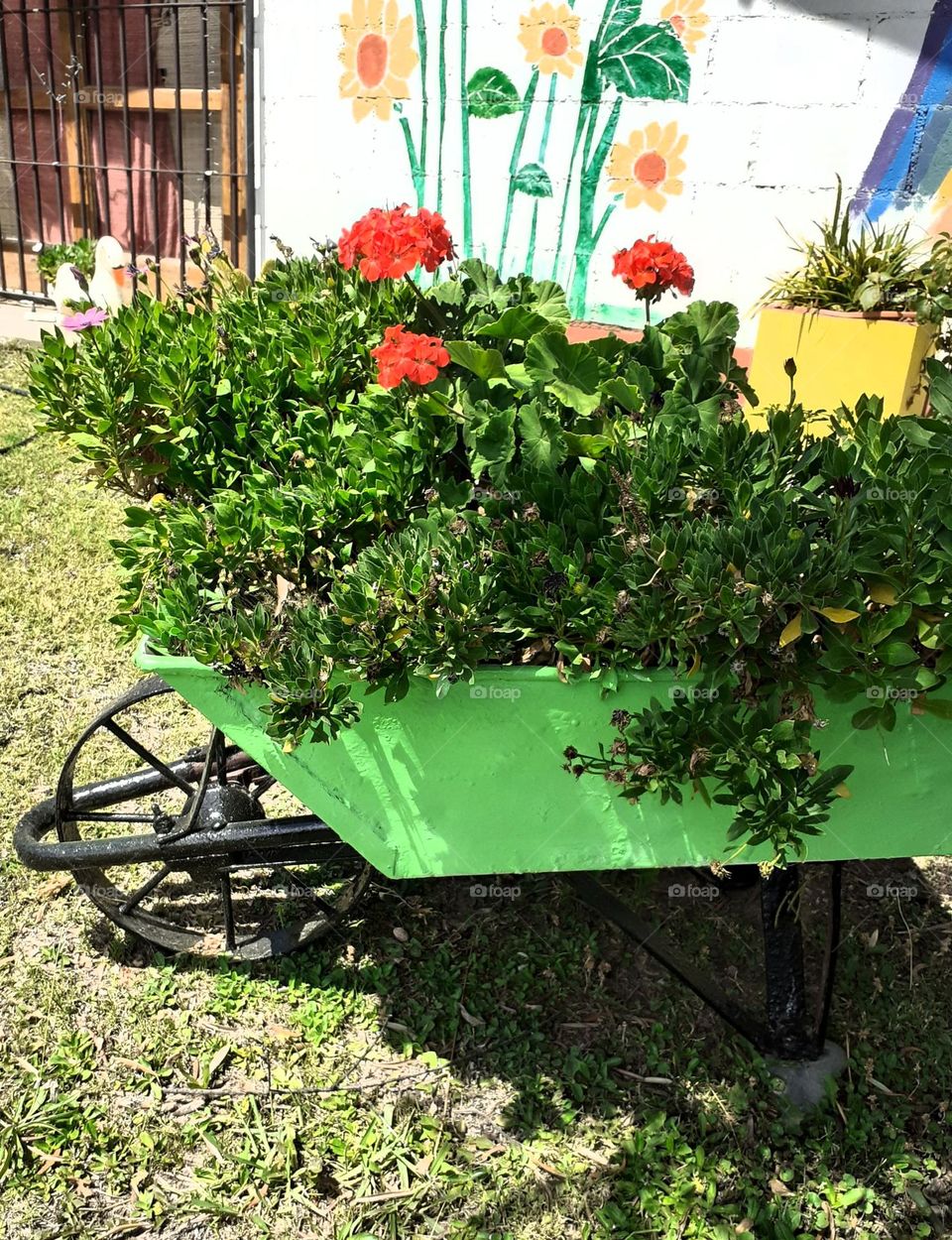 carretilla con plantas y flores