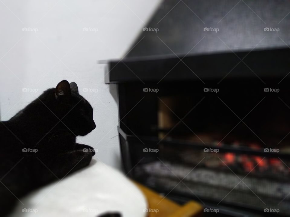 Black cat enjoying Flames in winter