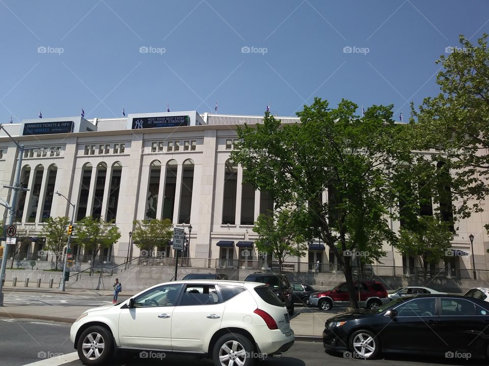 yankee stadium