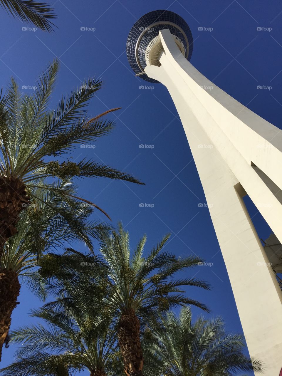 Looking stratosphere Hotel. Looking stratosphere Hotel in Las Vegas 