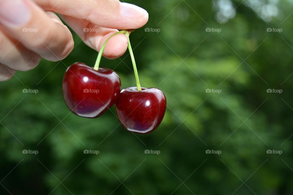 Close-up of cherry