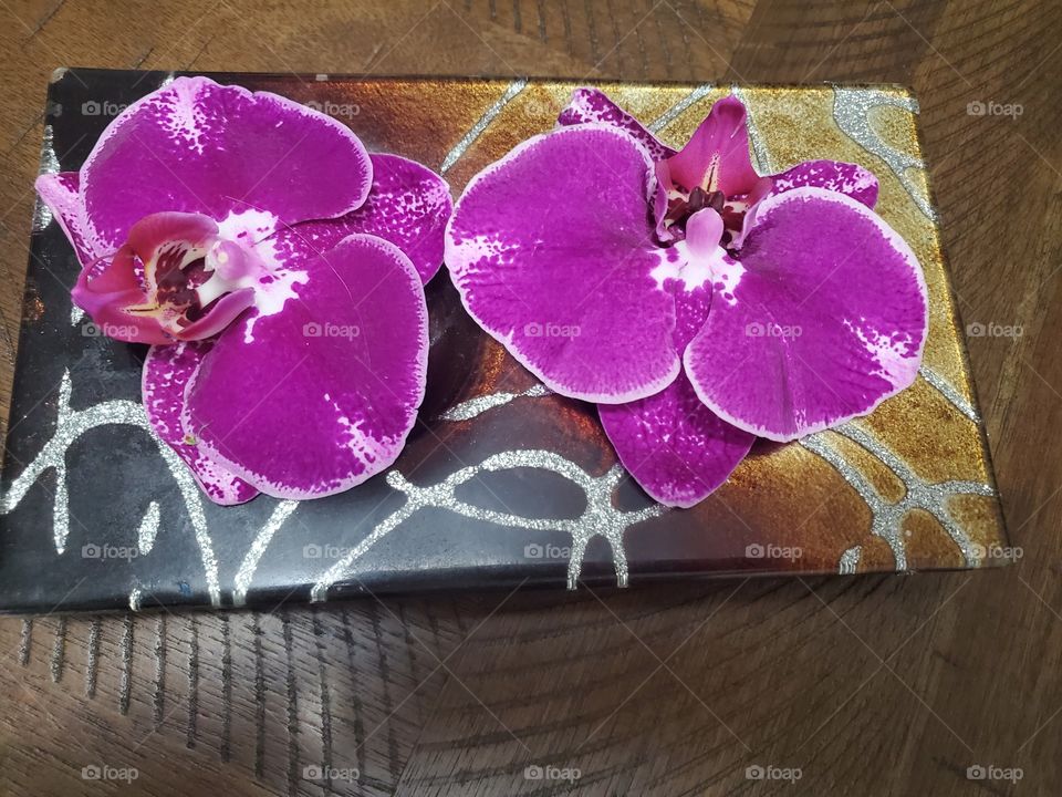 exotic orchids decoration