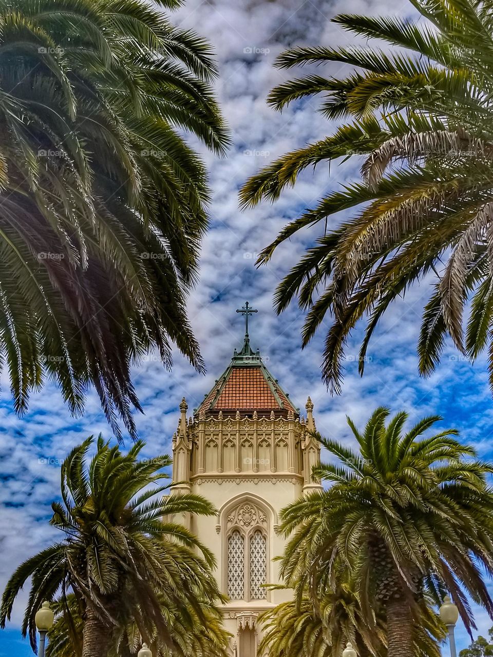 Gothic tower peeking through palm trees with a bright blue sky and clouds that look like cotton balls, religious looking with a cross on the top