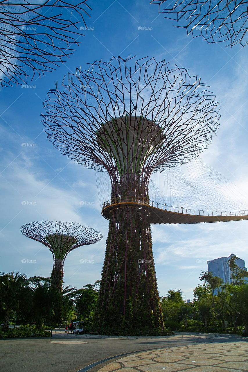 Tree structure in the gardens