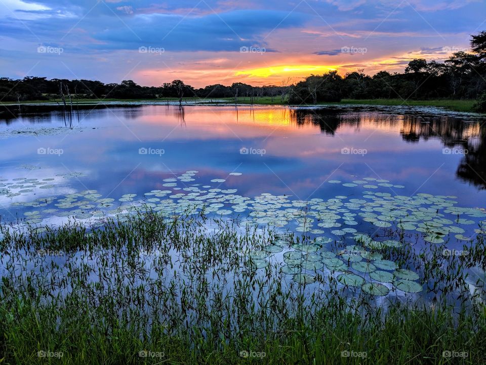 Reflection, Lake, Water, No Person, Nature
