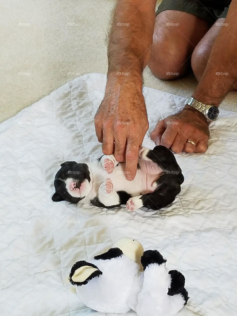 Baby Milli getting a tummy tickle