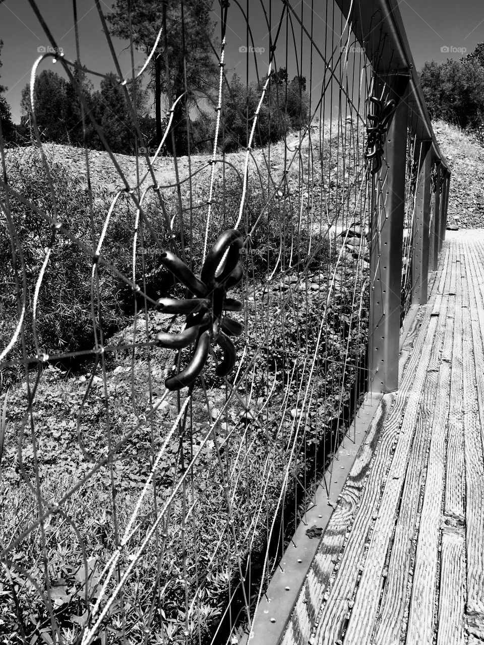 A black and white prospective of Charlette’s Bridge