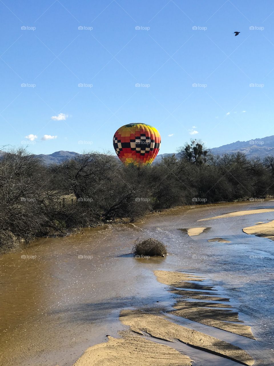 Fall Nature Landscape - Hot Air Balloons 