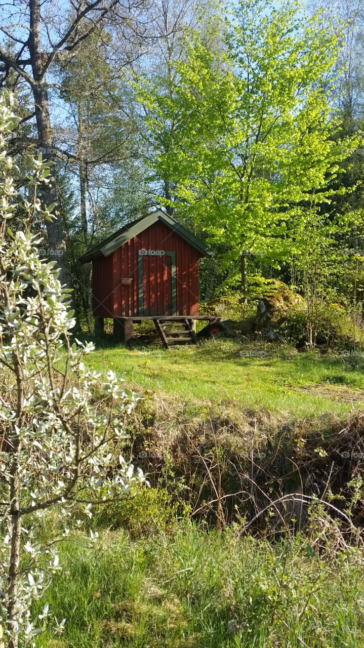 woodenhouse in Sweden