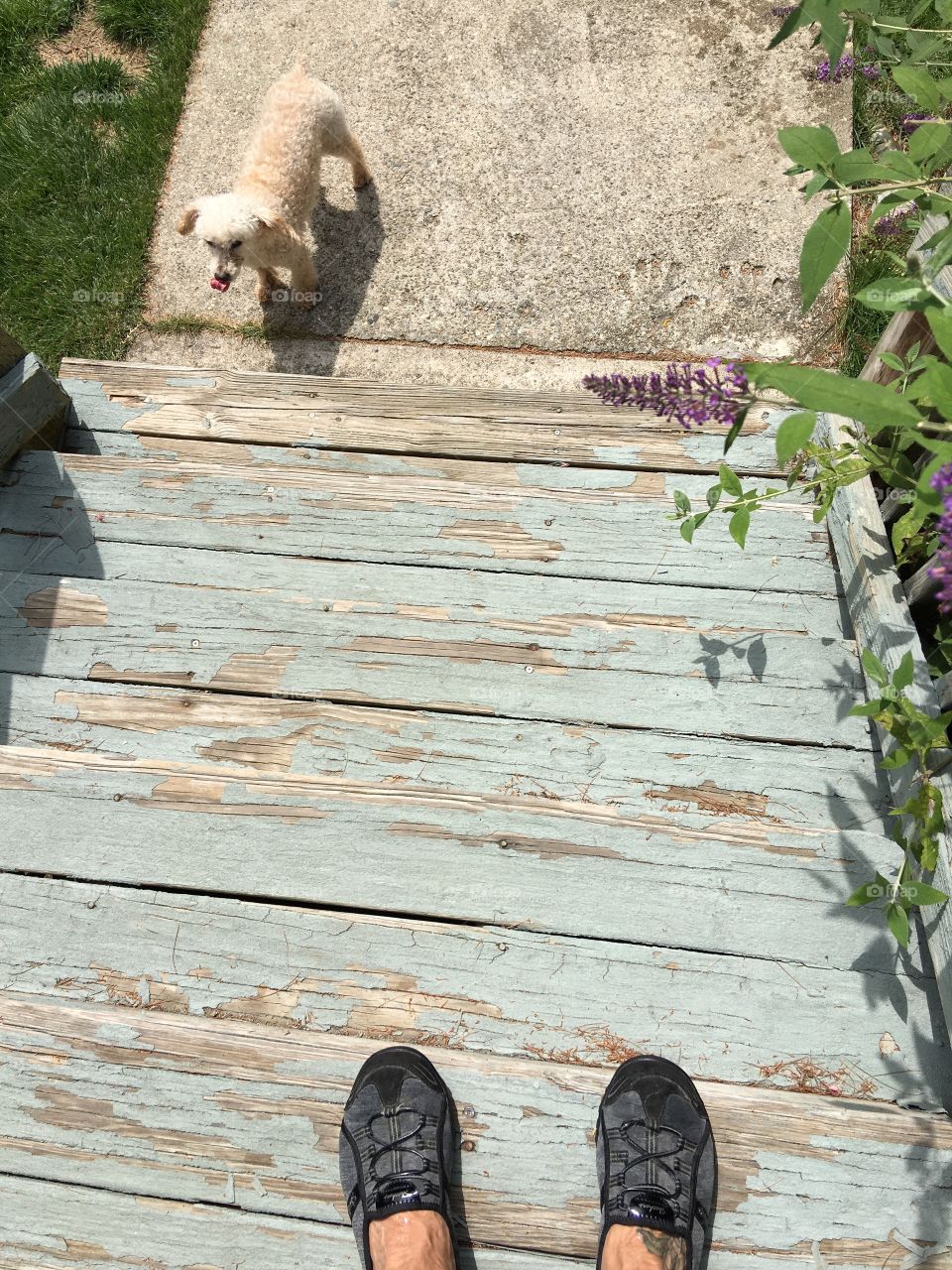 I'm standing here getting ready to go get my dog. He's older and can't do stairs any more.