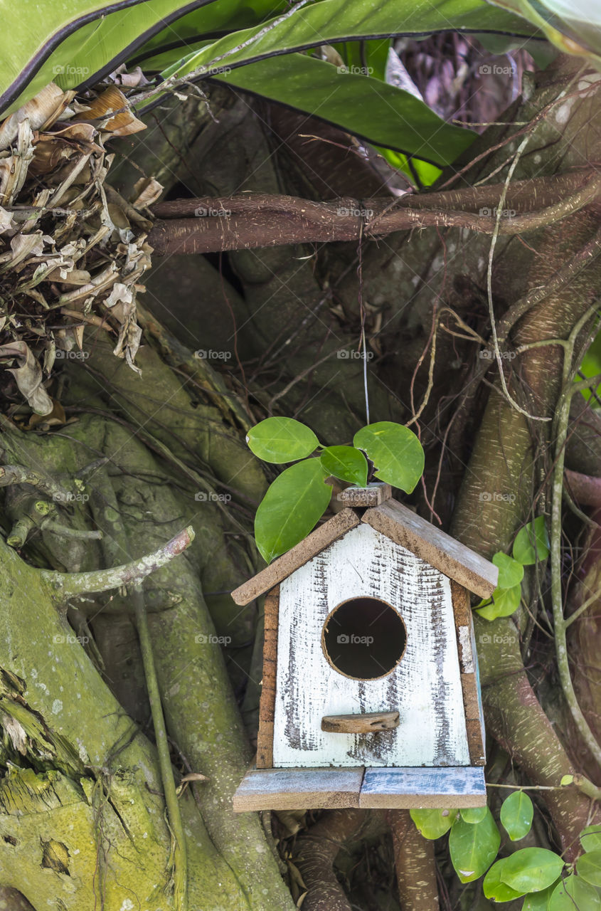 Bird house hanging on the tree