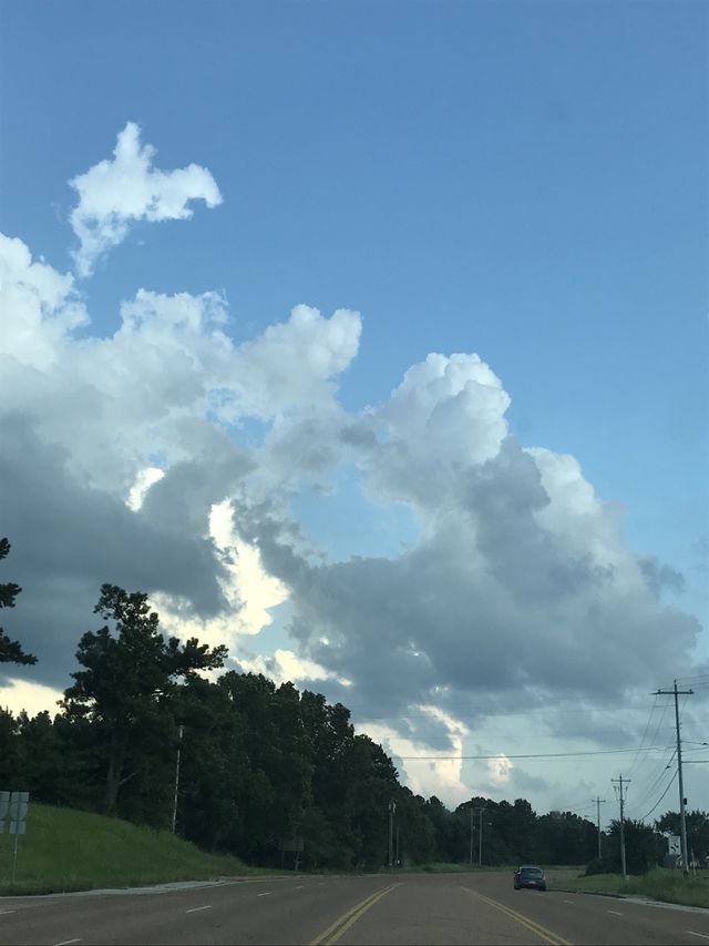 Stunned by the Beauty 