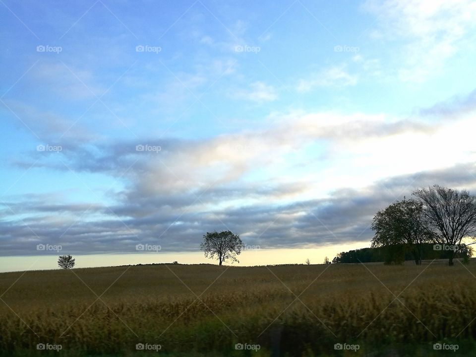 Dawn Over the Countryside