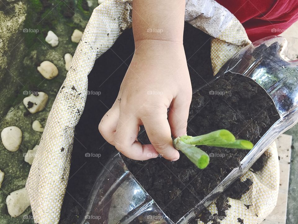 A kid planting