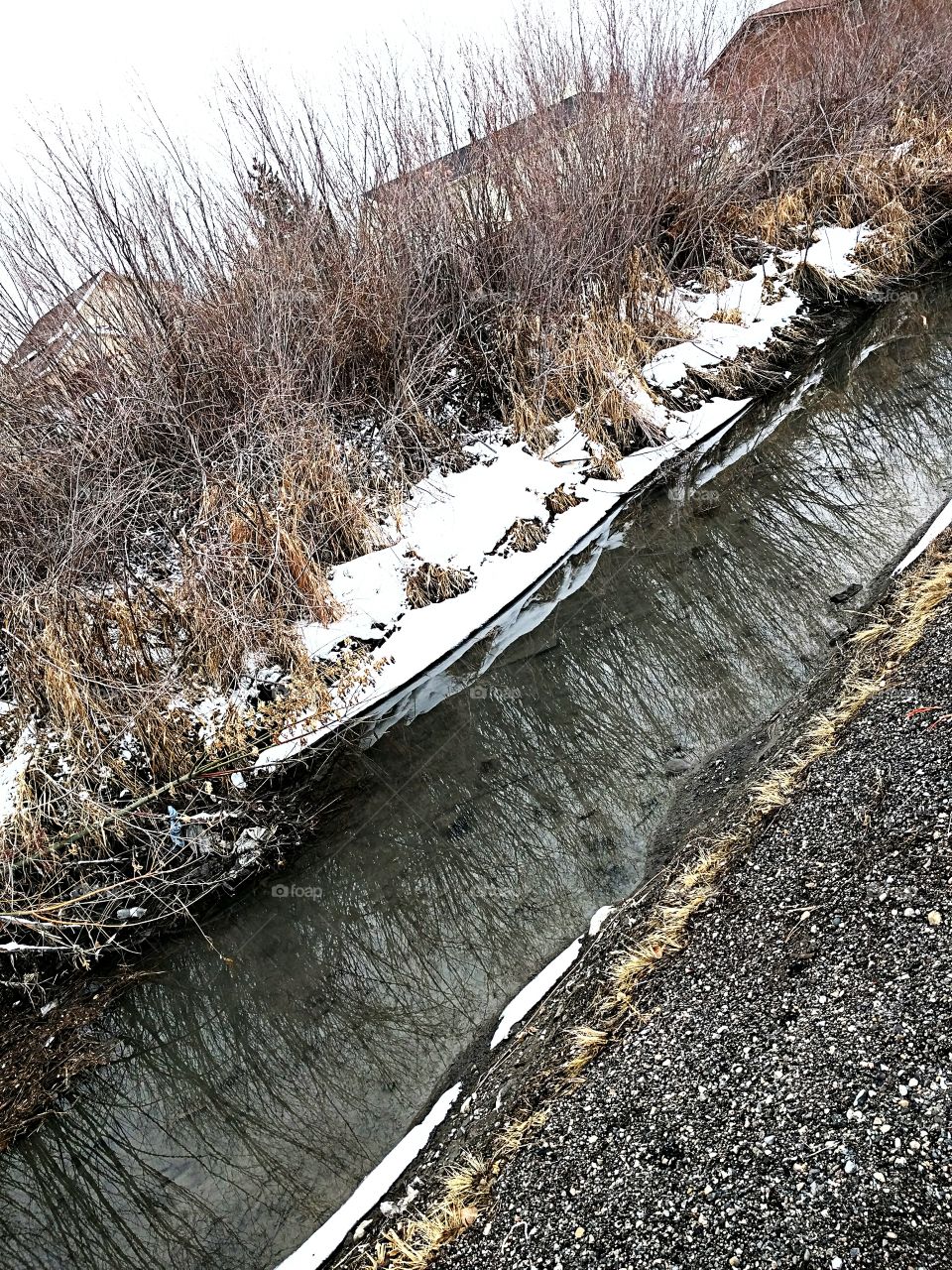 Canal Stream Winter Reflection Brush