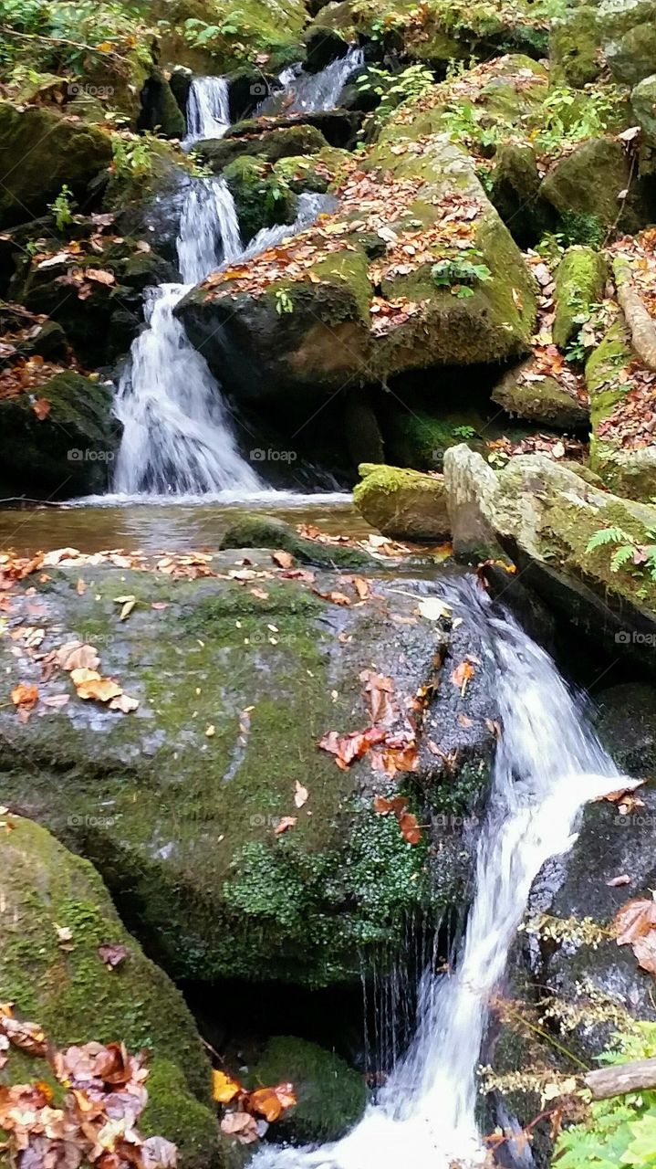 small waterfall on the trail to Lee falls, South Carolina