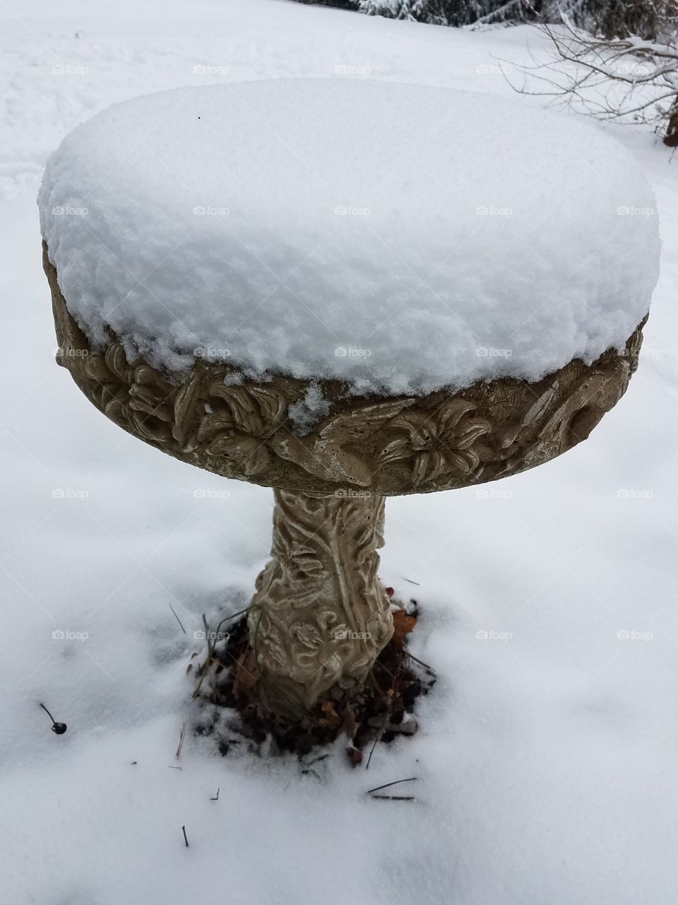 Snow covered object