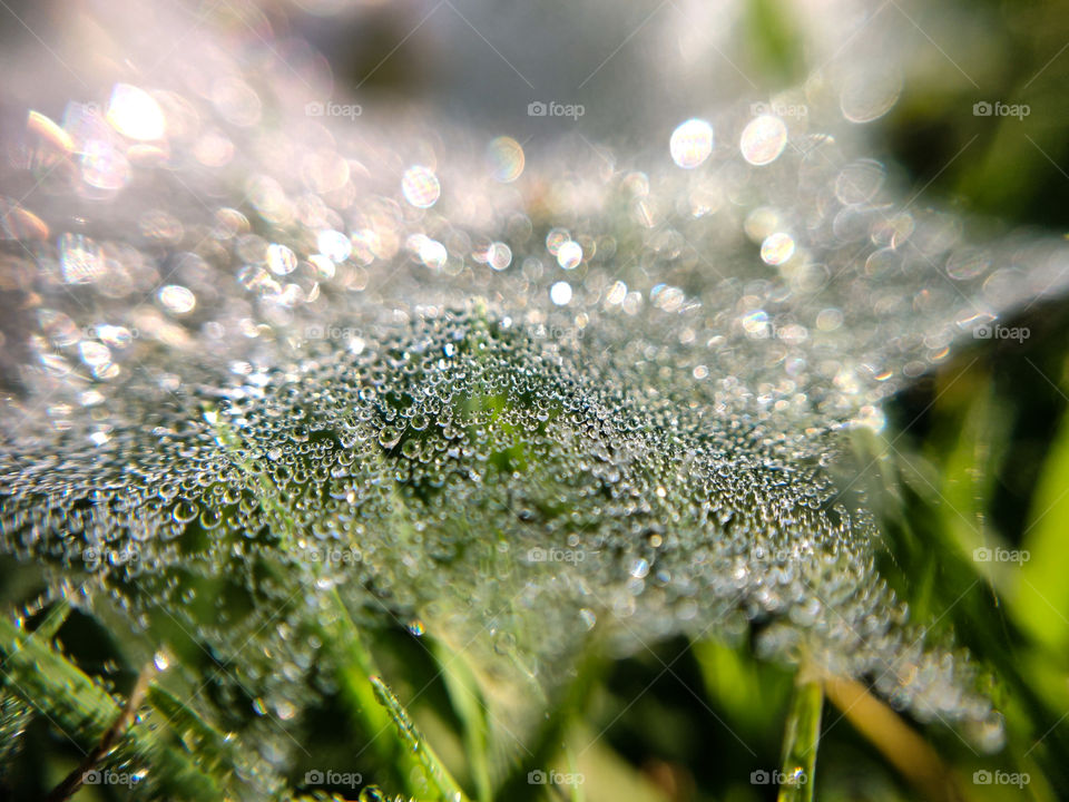 A Wonderfull moment that i captured this on early morning.. spider web covered with water droplets... #macro beauty