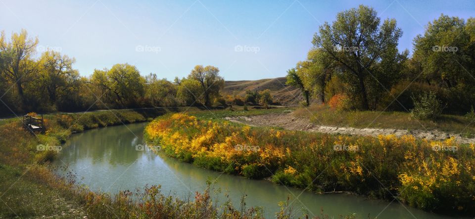 Panoramic view of stream in autumn