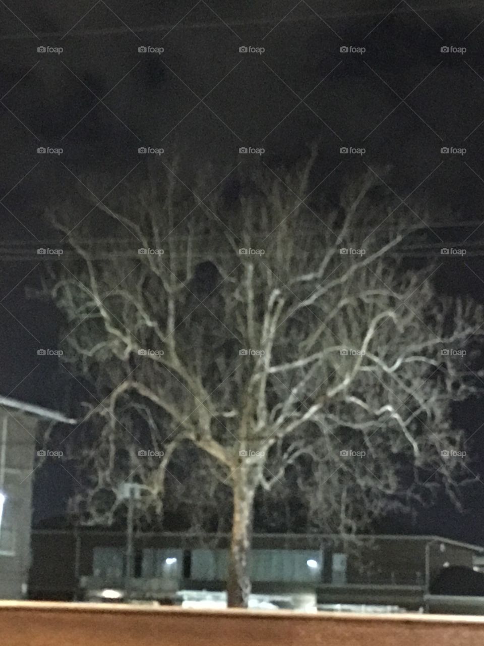 Horror tree
