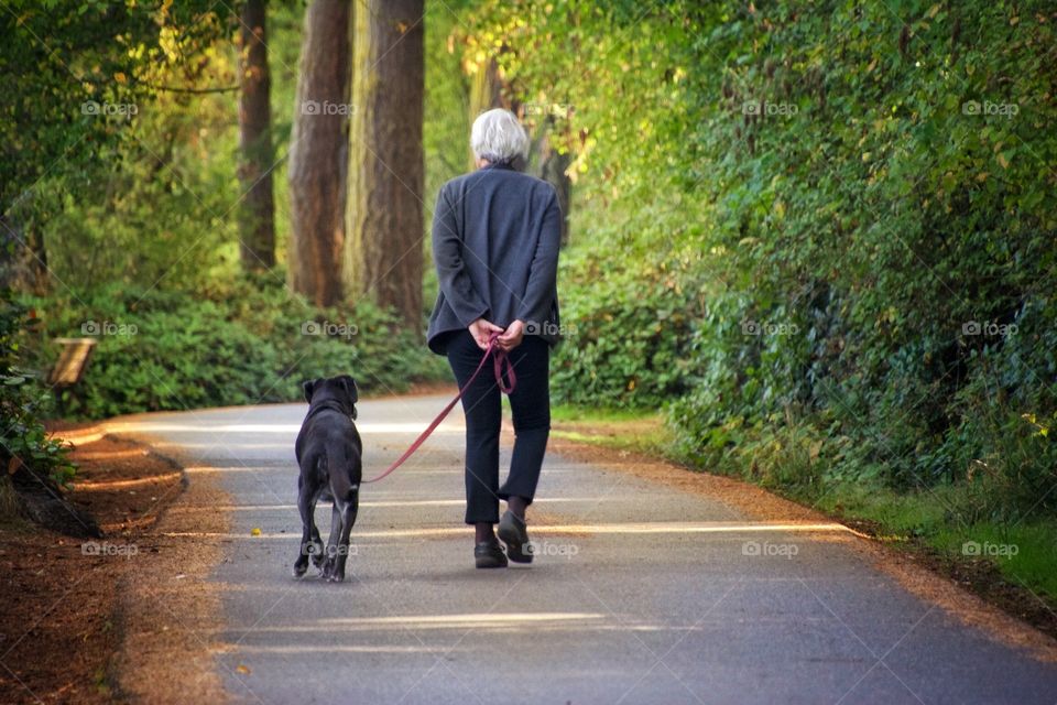 Walking in the woods in Autumn