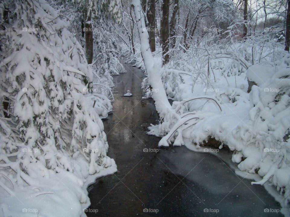 Winter stream