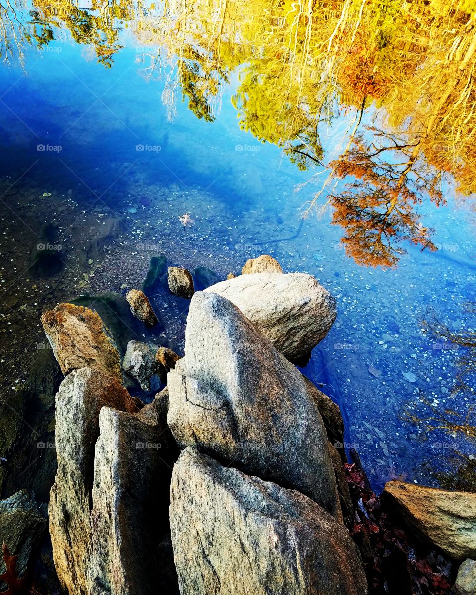 reflections on trees in the backdrop of rocks.