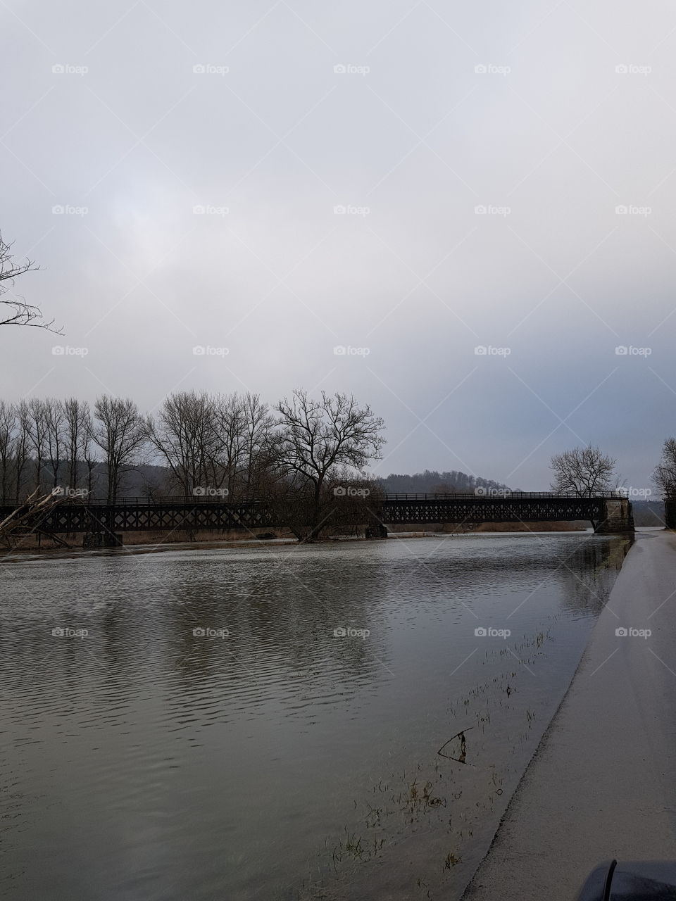 die Donau bei Sigmaringen mit Überschwemmungen