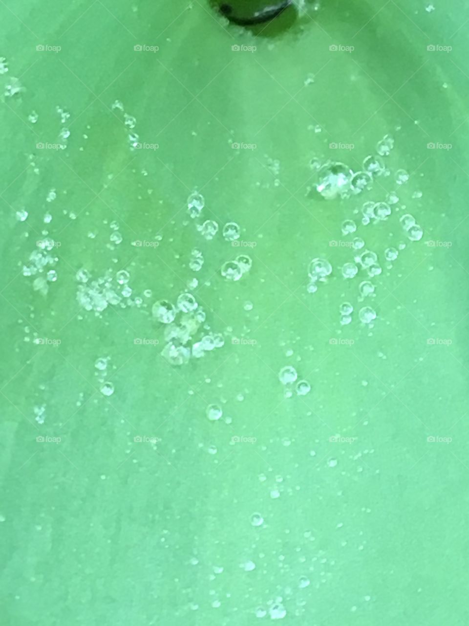 Raindrop jewels on tulip leaf