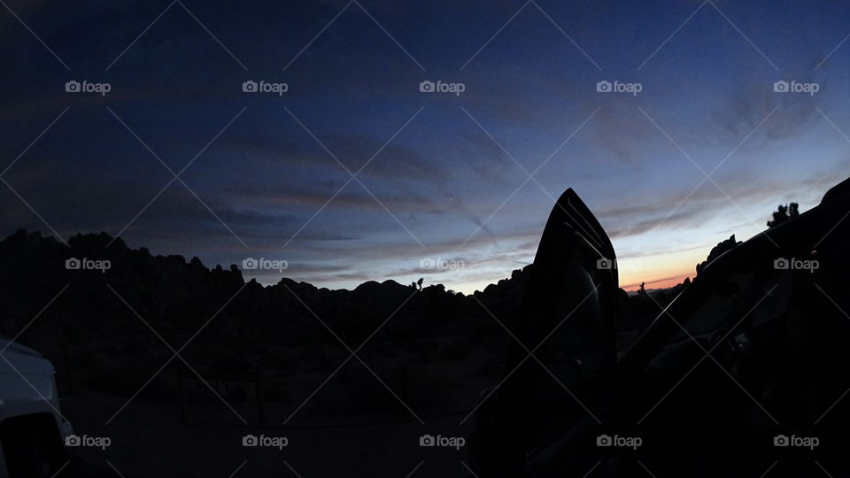 Joshua Tree night & day