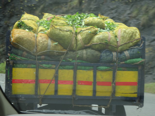 truck in India