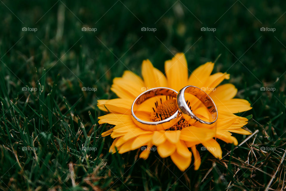 Wedding rings