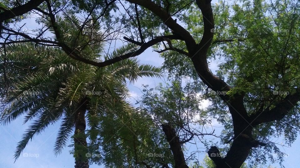 a beautiful nature in the yard.