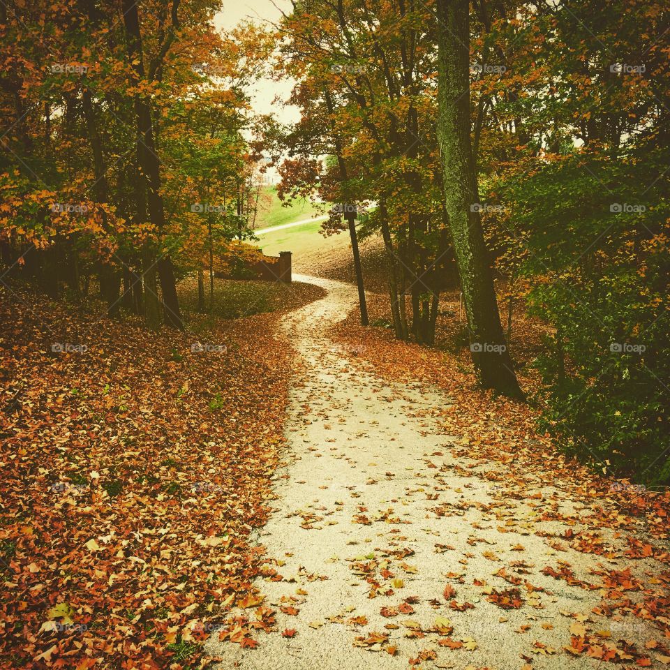 A autumn stroll in the park
