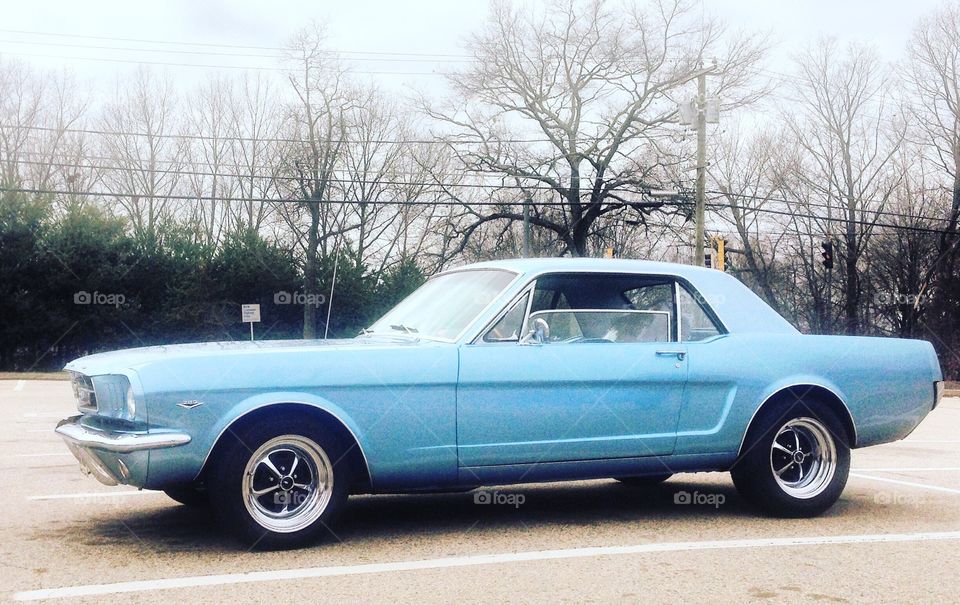 Classic Mustang