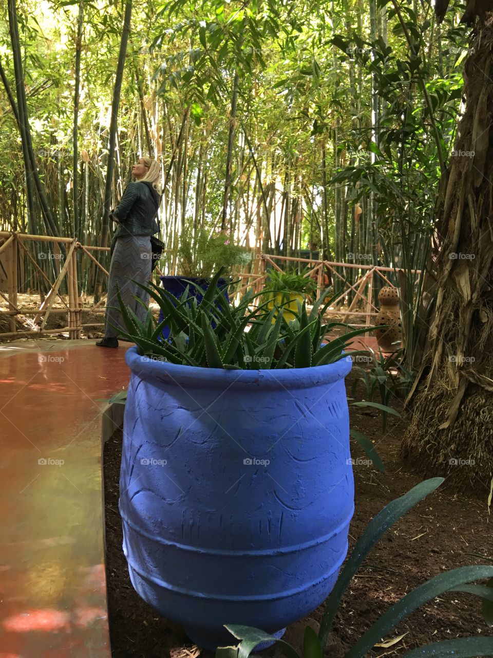 Gardens in Marrakech 