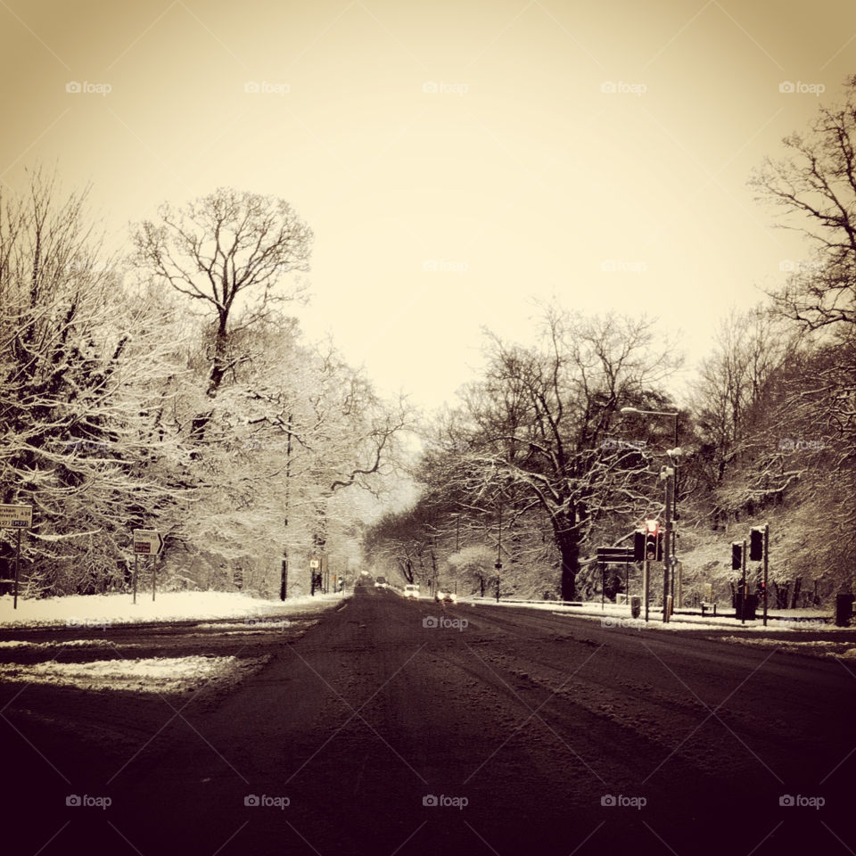 Empty road in winter