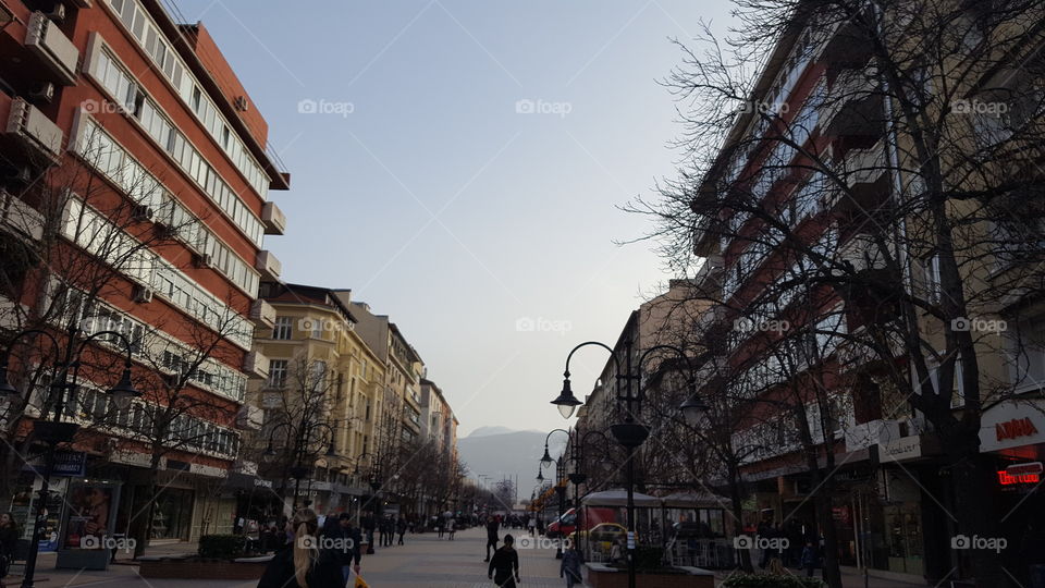 Sofia main street