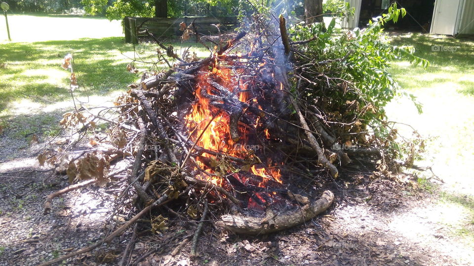 Brush fire. Pile of brush burning.