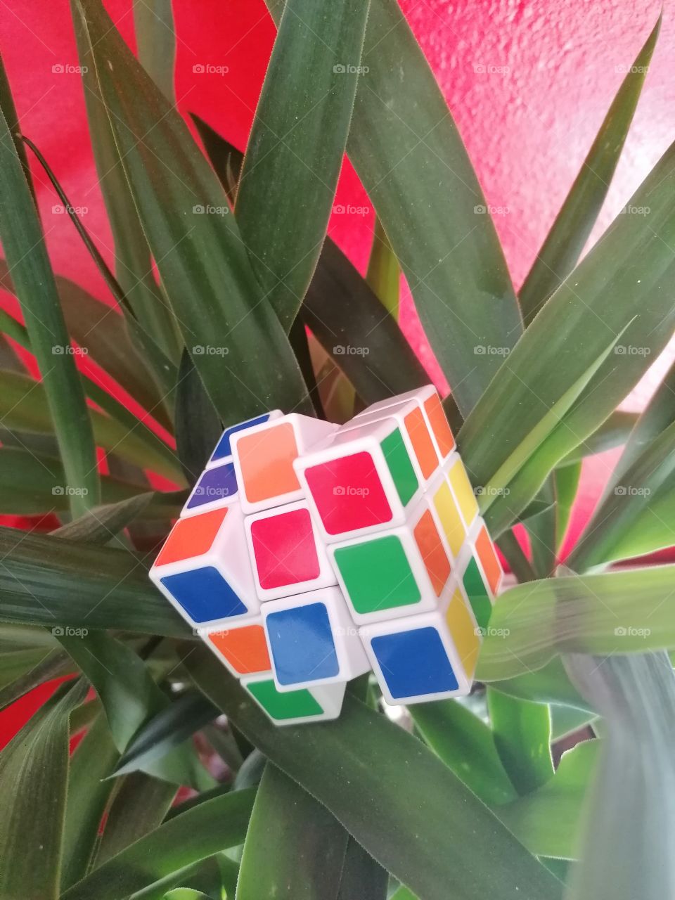 Colors cube